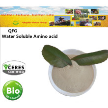 Solule Powder Organic Fertilizer Amino Acid